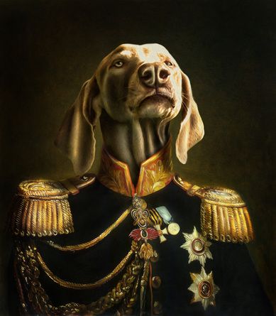 Pet portraits poster design