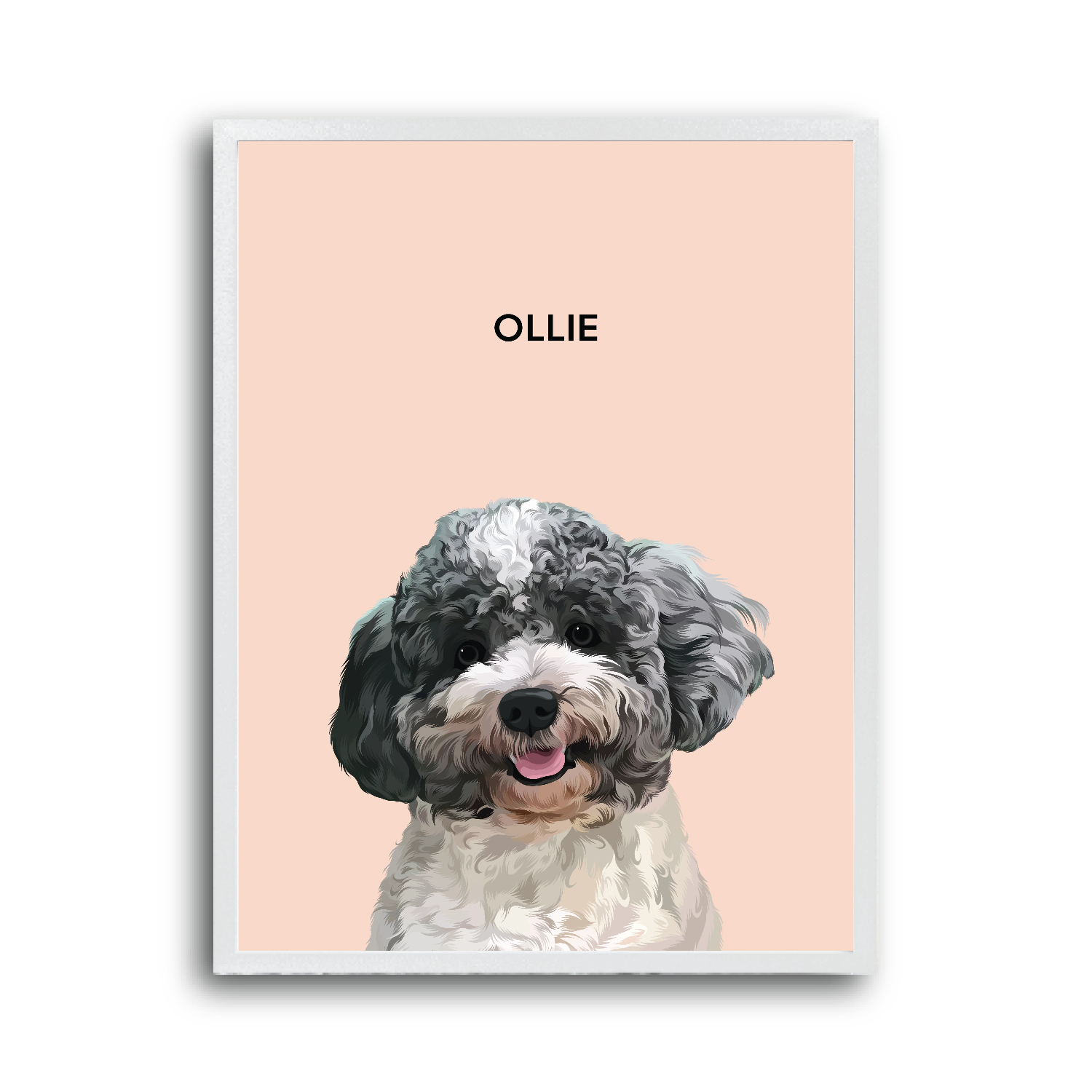 Illustration of a dog named 'Ollie' on a pink background