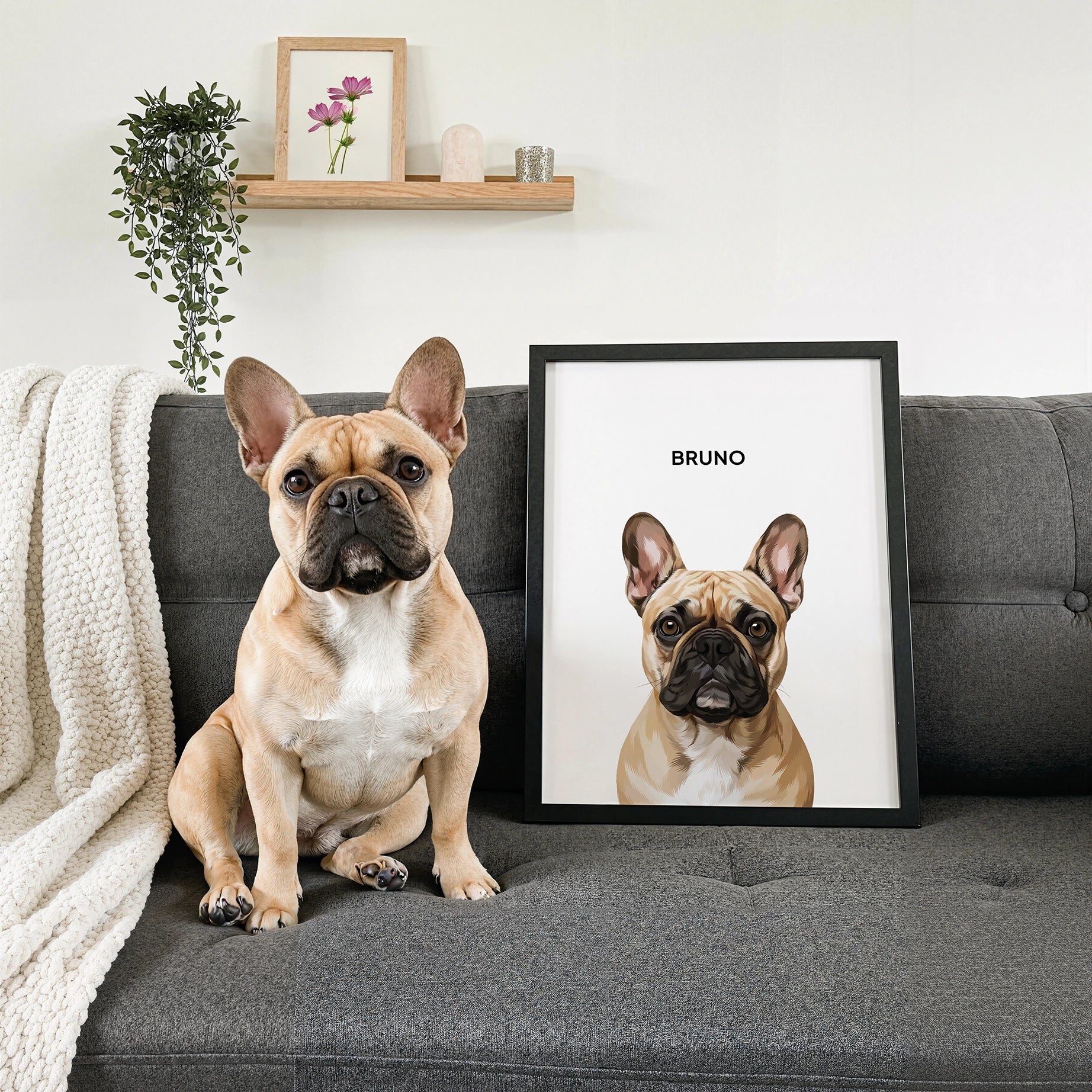Custom Modern Pet Portrait Poster Design