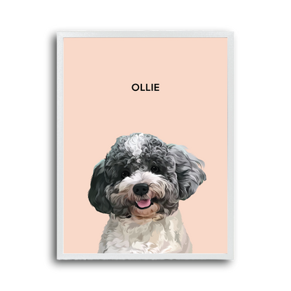 Illustration of a dog named 'Ollie' on a pink background