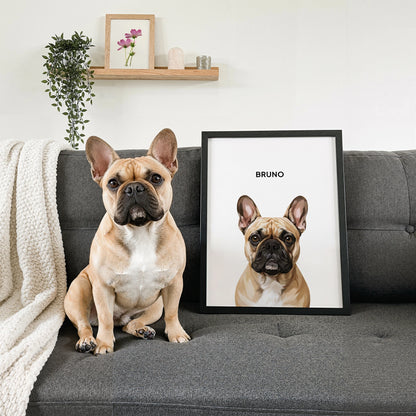 Custom Modern Pet Portrait Poster Design