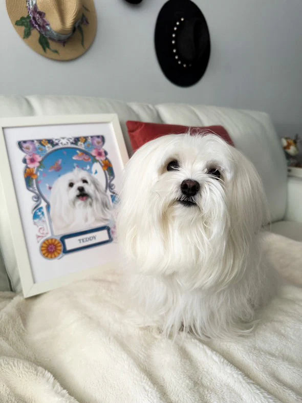 White dog sitting on a couch next to a framed picture of itself